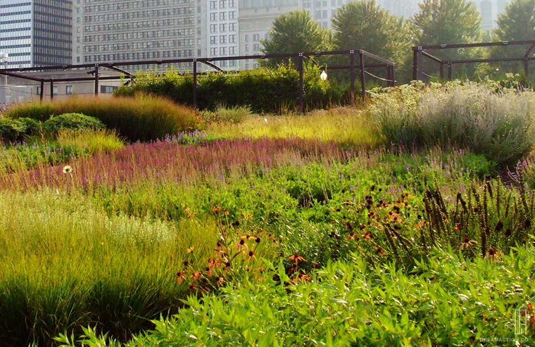 Millennium Park