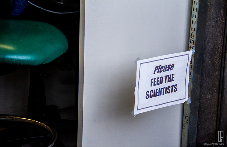 please feed Salk Institute Louis Kahn หลุยส์ คาห์น