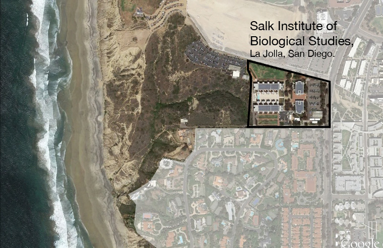 Salk Institute Louis Kahn หลุยส์ คาห์น