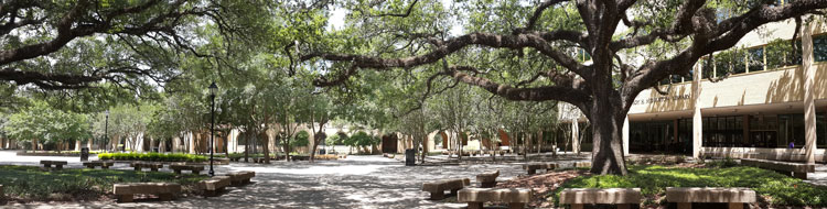 ประสบการณ์ การเรียน ปริญญาโท อเมริกา ภูมิสถาปัตยกรรม Louisiana State University