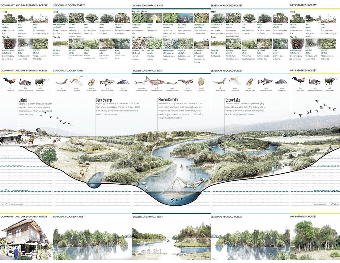 ประกวดแบบ สถาปัตยกรรม ภูมิสถาปัตยกรรม ASLA awards design student competition