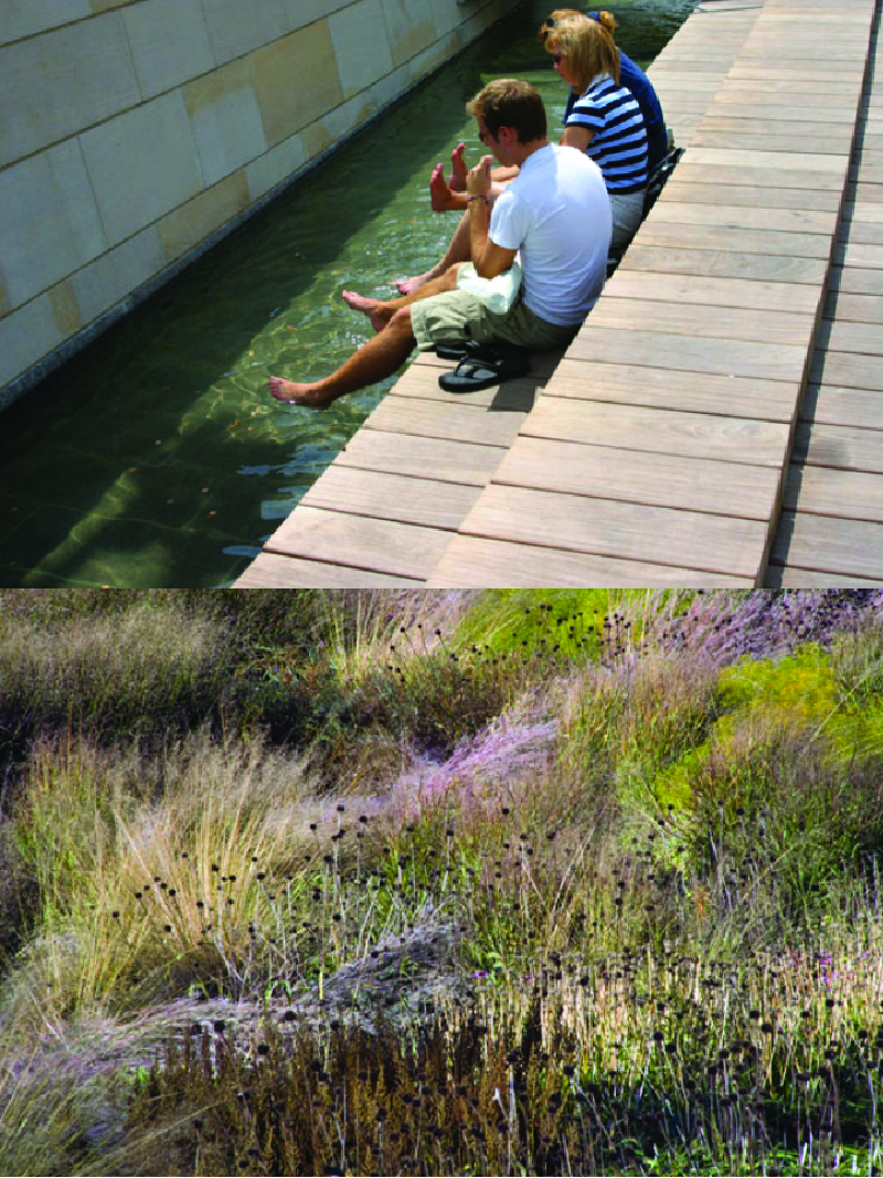 Lurie Garden Millenium Park GGN มิลเลเนียม พาร์ค จีจีเอ็น ลูรี่การ์เด้น